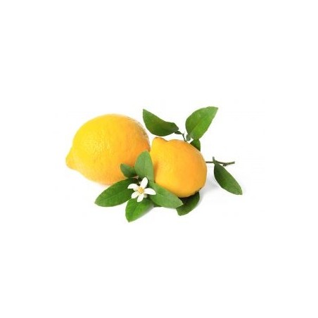 Sapone vegetale: Limone con olio di oliva biologico e miele d’acacia – 150gr